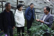 学校党委书记李清玉到元阳县调研巩固脱贫攻坚成果同乡村振兴有效衔接工作